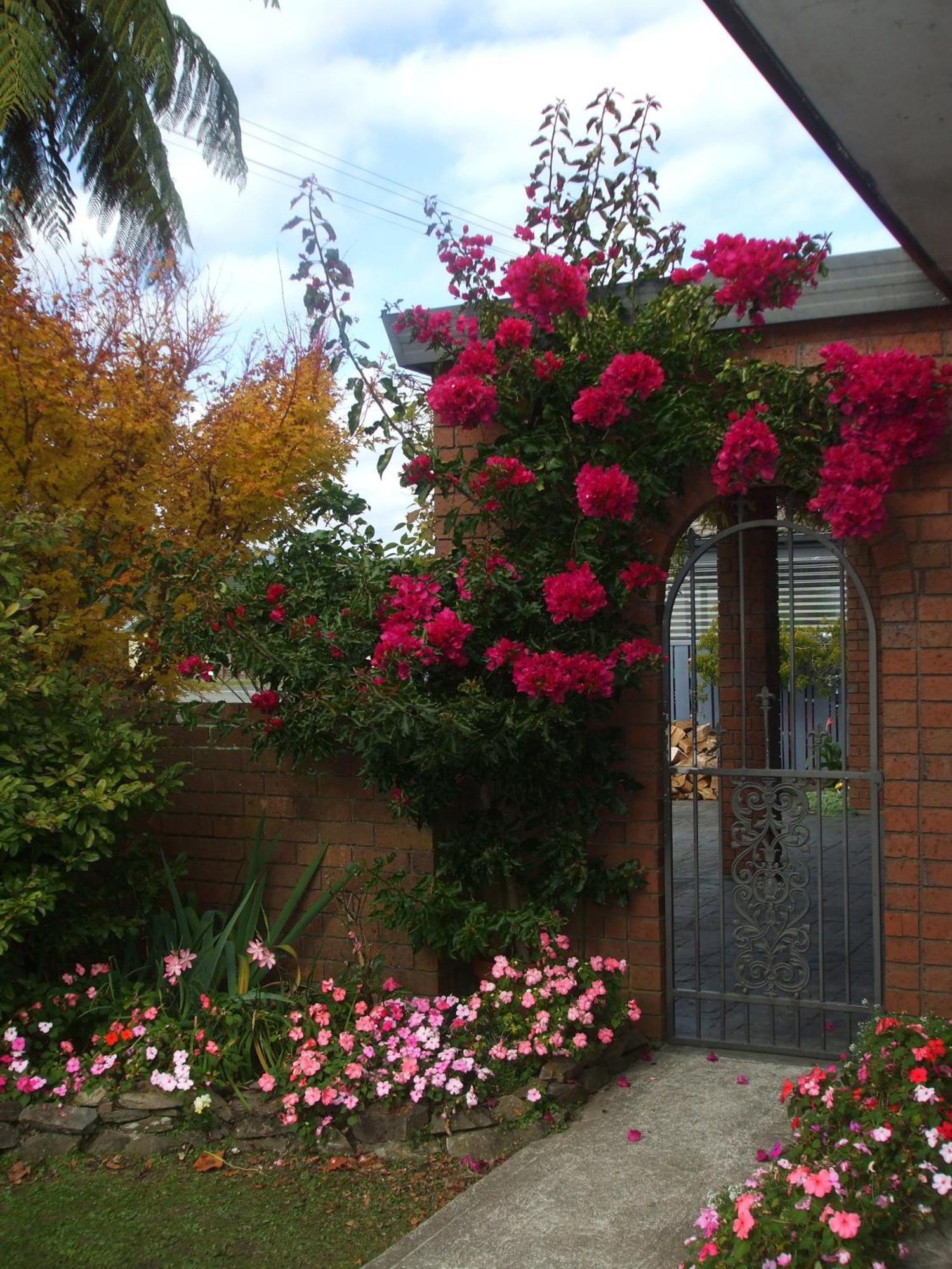 Havenlee Homestay Westport Exterior foto
