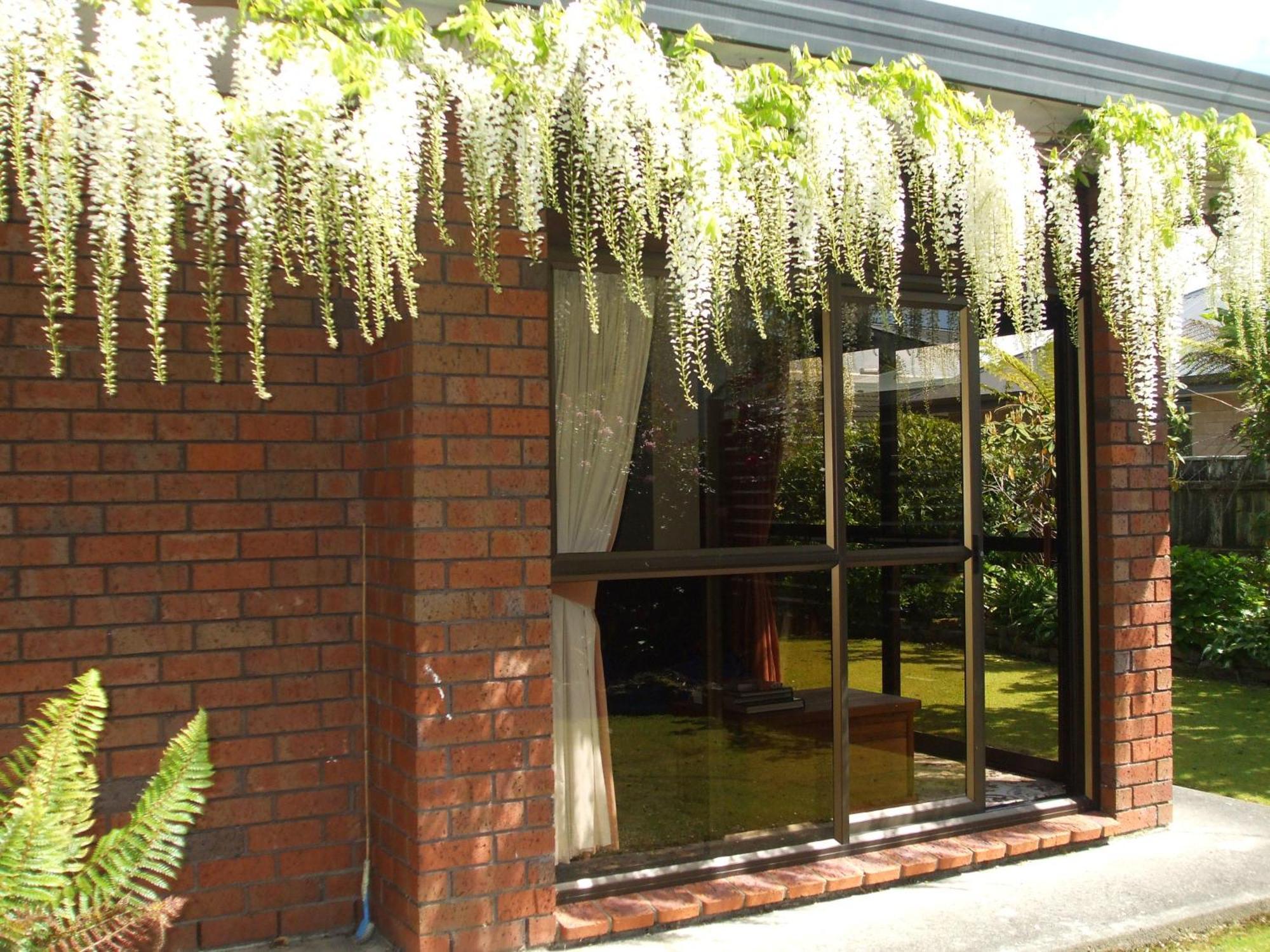 Havenlee Homestay Westport Exterior foto